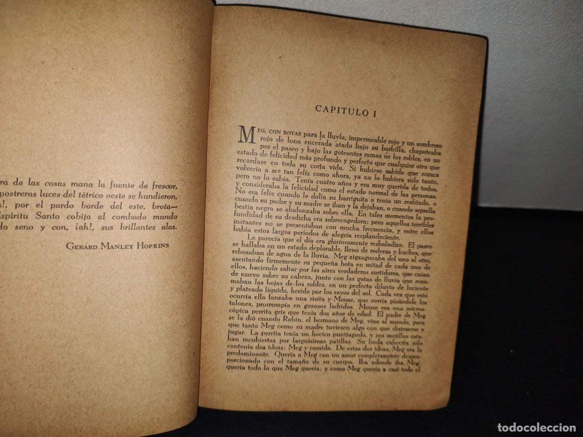Libros de segunda mano: 75- LA ESTRELLA SOBRE LA FUENTE - ELIZABETH GOUDGE - 1954 - Foto 4