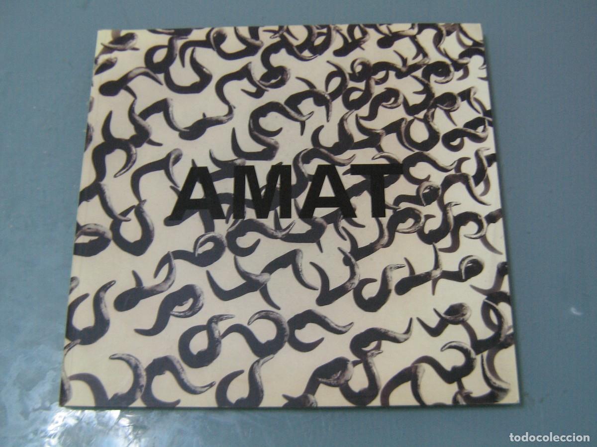 Libros de segunda mano: FREDERIC AMAT....... - Foto 1