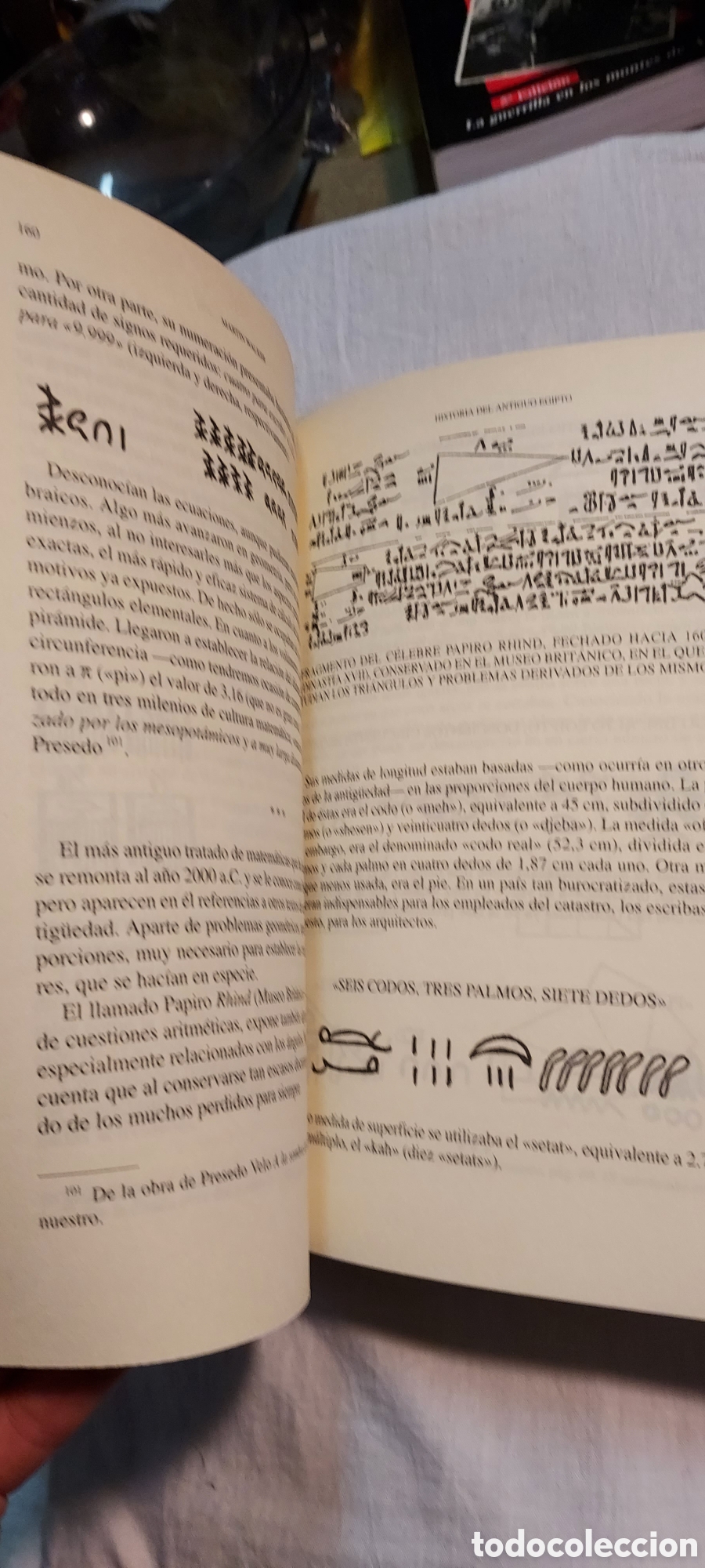Libros de segunda mano: HISTORIA DEL ANTIGUO EGIPTO.MARTIN WALKER.EDIMAT LIBROS 2004 - Foto 7
