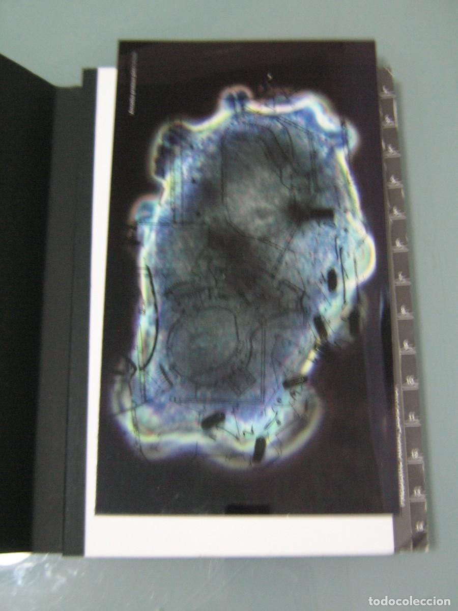 Libros de segunda mano: FREDERIC AMAT. Zootrop - Foto 2