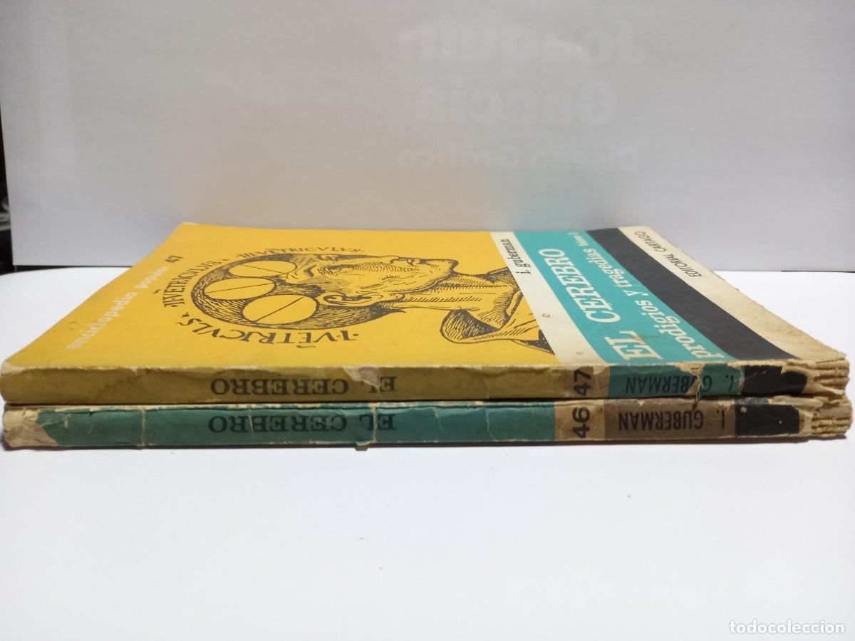 Libros de segunda mano: I. Guberman - El Cerebro, prodigios y tragedias / Dos vol&uacute;menes - Primera en espa&ntilde;ol - Foto 2