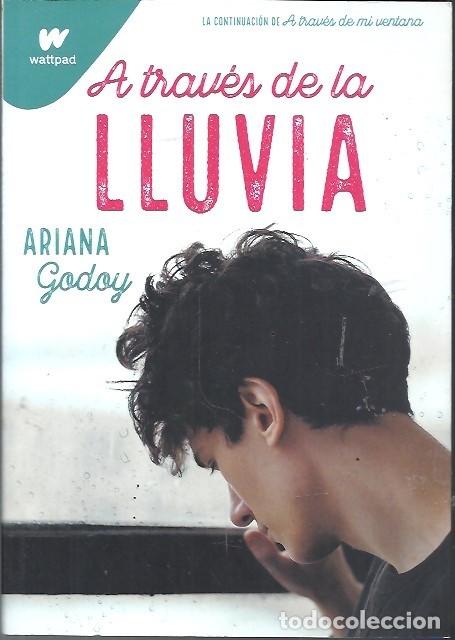 Libros de segunda mano: A TRAVES DE LA LLUVIA ARIANA GODOY - Foto 1