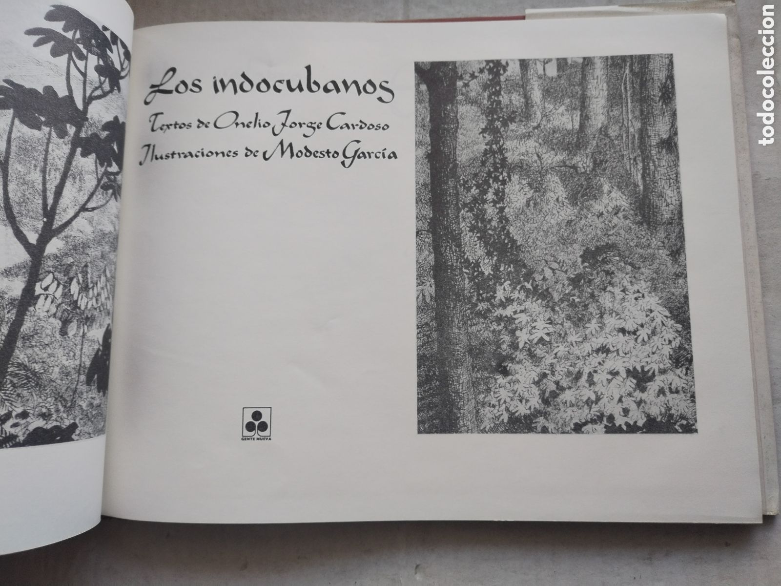 Libros de segunda mano: LOS INDOCUBANOS/VARIOS AUTORES - Foto 4