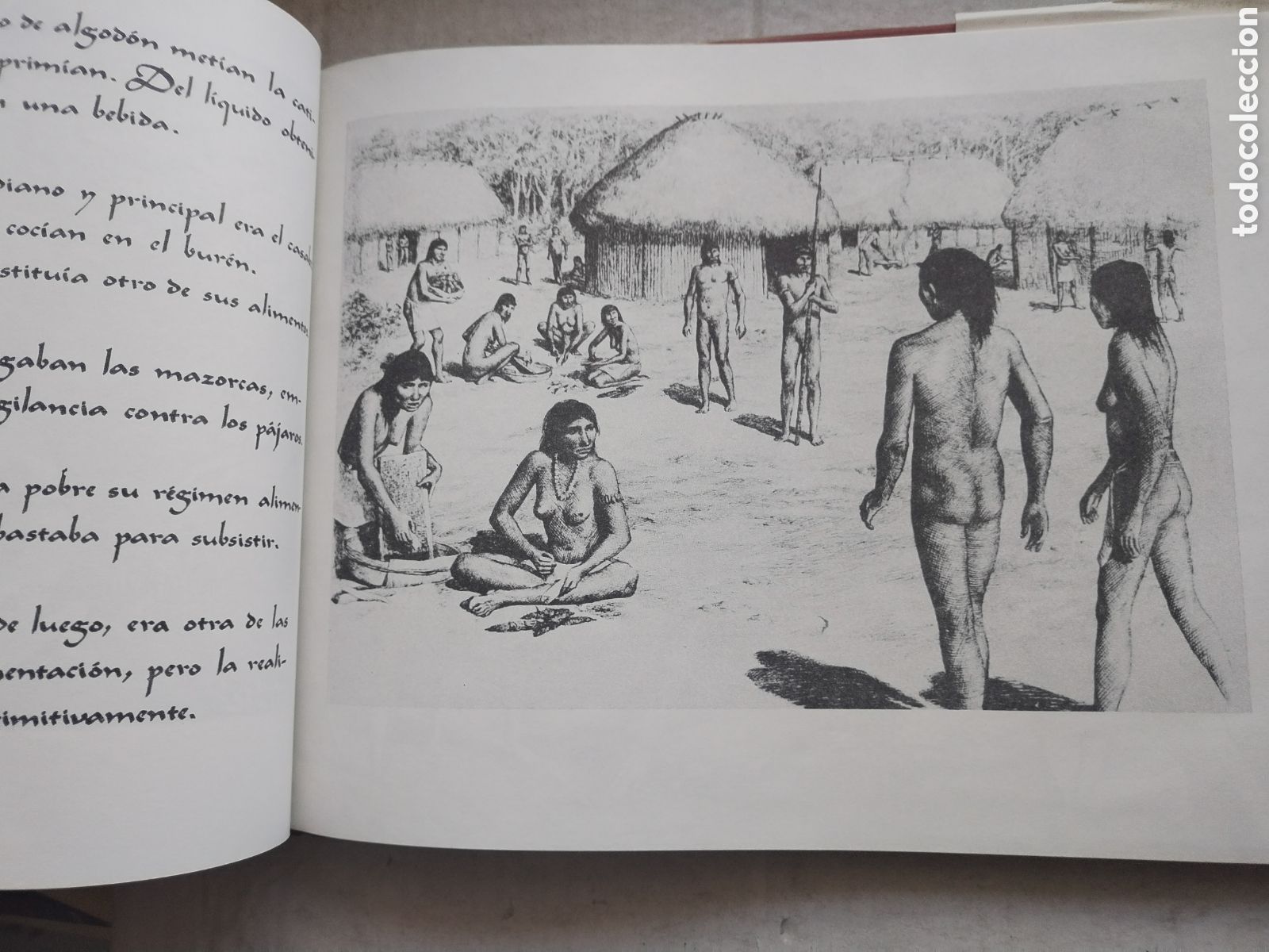 Libros de segunda mano: LOS INDOCUBANOS/VARIOS AUTORES - Foto 5