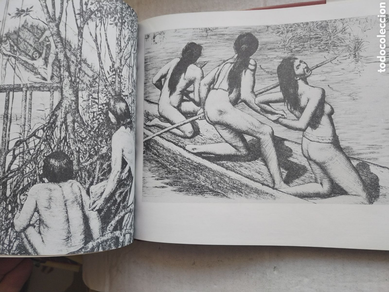 Libros de segunda mano: LOS INDOCUBANOS/VARIOS AUTORES - Foto 7