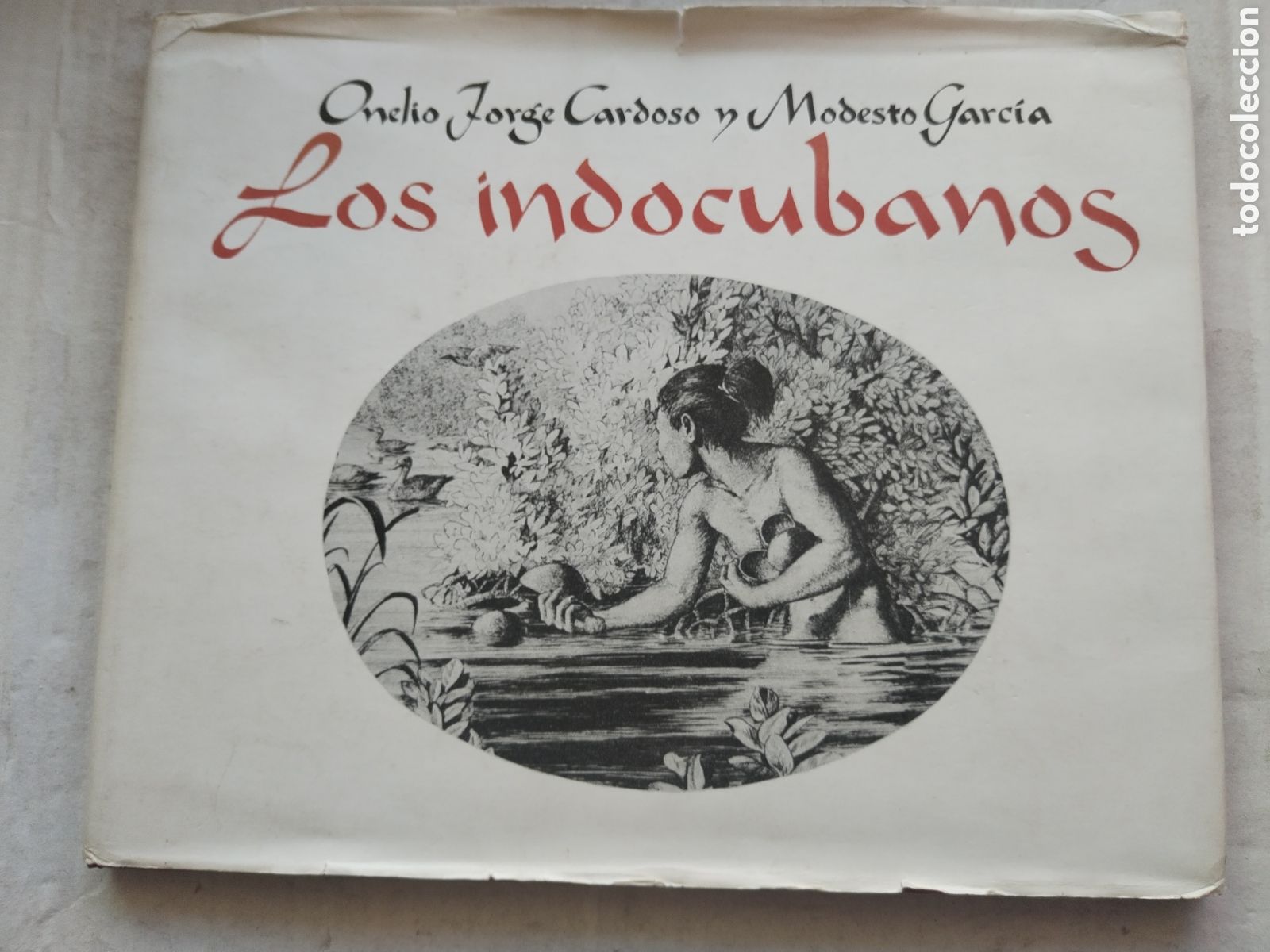 Libros de segunda mano: LOS INDOCUBANOS/VARIOS AUTORES - Foto 1