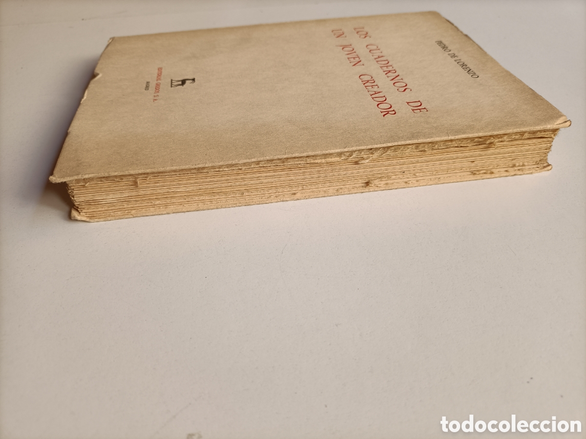 Libros de segunda mano: Los cuadernos de un joven creador. Pedro De Lorenzo - Foto 5