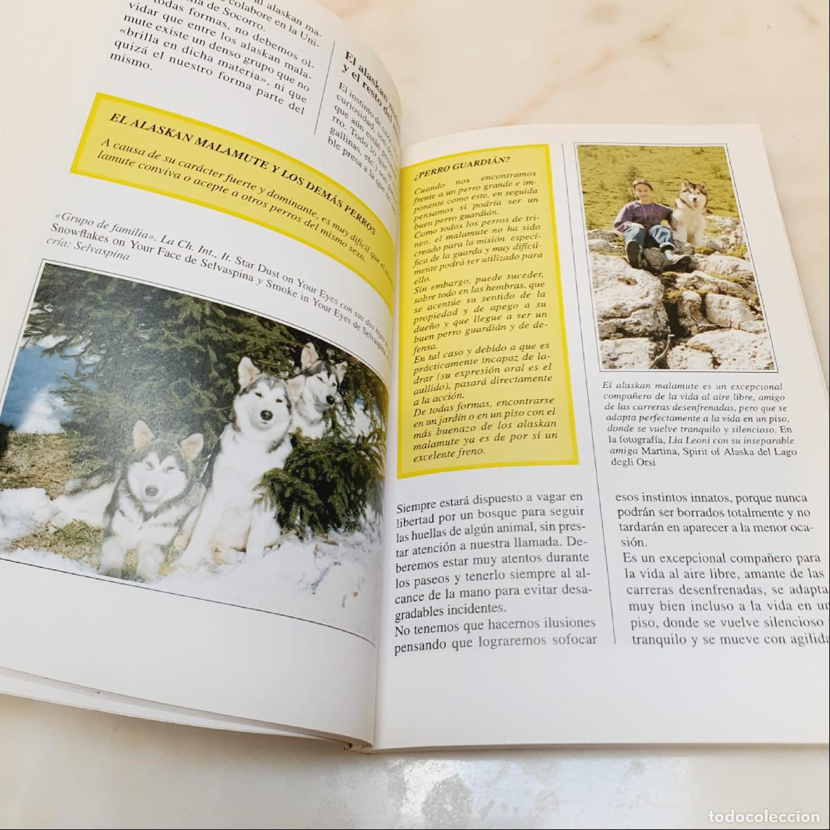Libros de segunda mano: LIBRO-EL ALASKAN MALAMUTE-PERROS DE CAZA-DEVECCHI - Foto 10