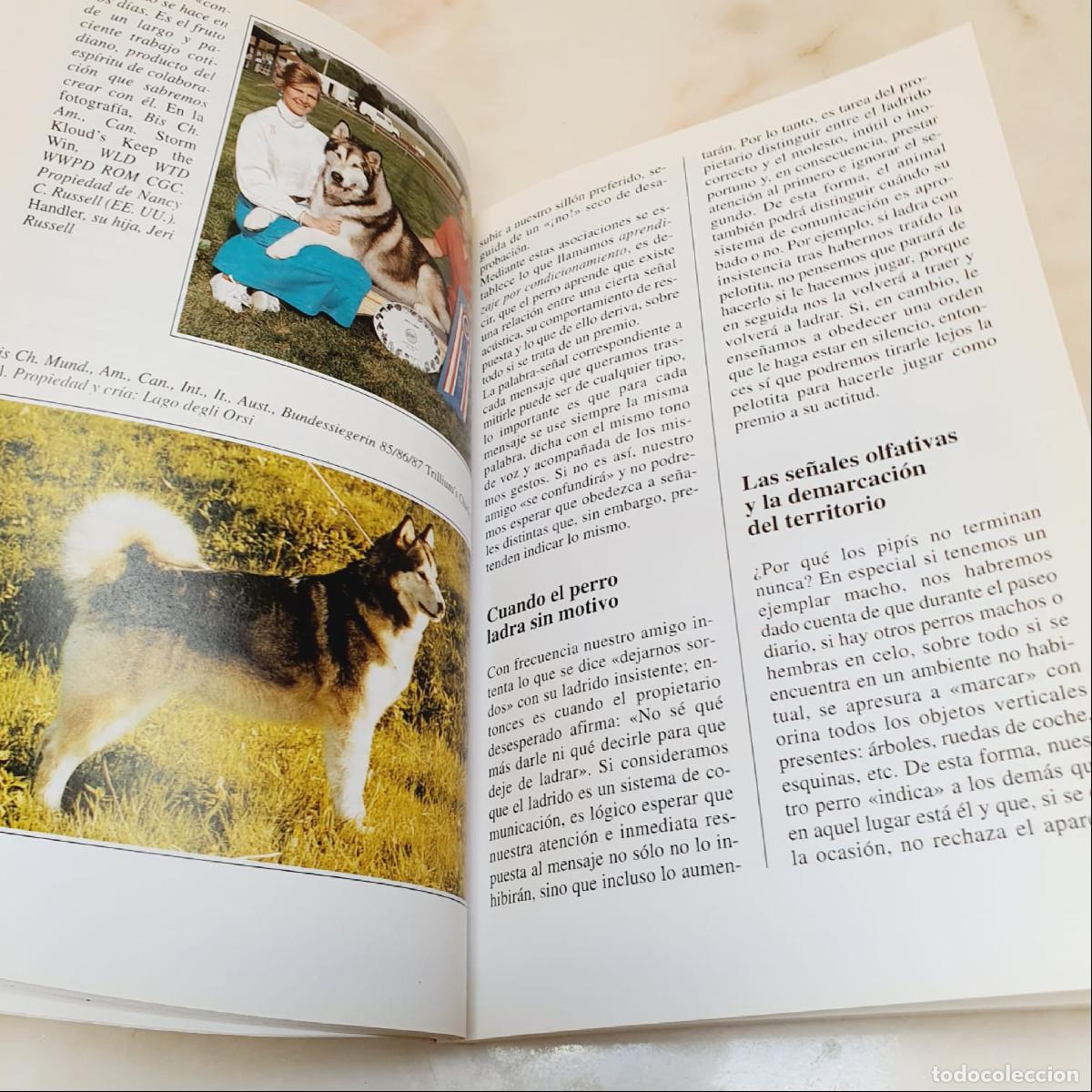 Libros de segunda mano: LIBRO-EL ALASKAN MALAMUTE-PERROS DE CAZA-DEVECCHI - Foto 11