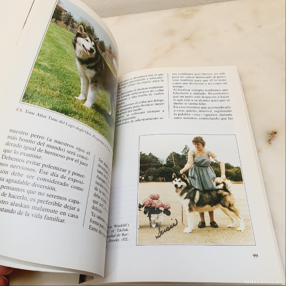 Libros de segunda mano: LIBRO-EL ALASKAN MALAMUTE-PERROS DE CAZA-DEVECCHI - Foto 13
