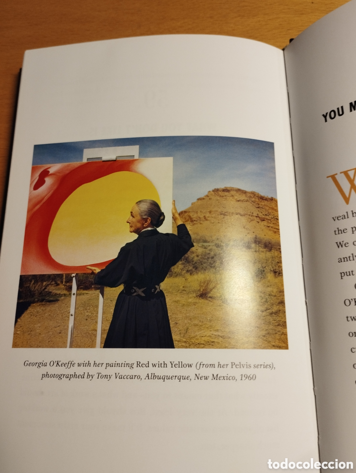 Libros de segunda mano: HOW TO BE AN ARTIST (JERRY SALTZ) - Foto 9
