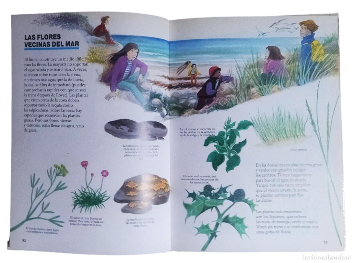 Libros de segunda mano: EXPLOREMOS LA NATURALEZA / J.B. DE PANAFIEU. CASI COMO NUEVO. - Foto 6