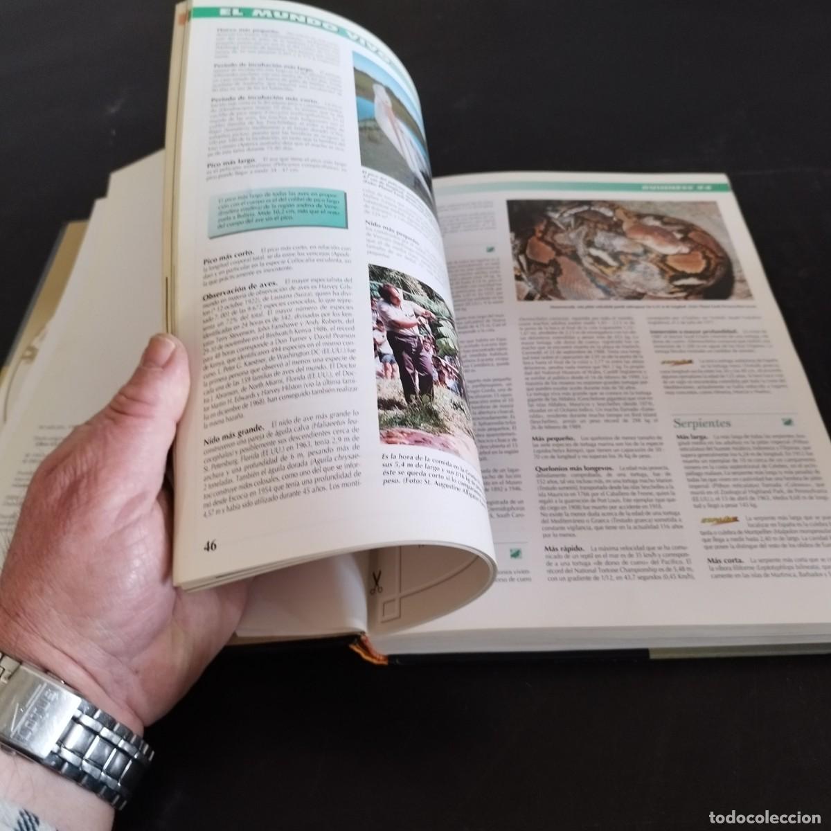 Libros de segunda mano: GUINNESS RECORDS 1994 / PETER MATTHEWS / CONS 48AB / JORDAN - Foto 17