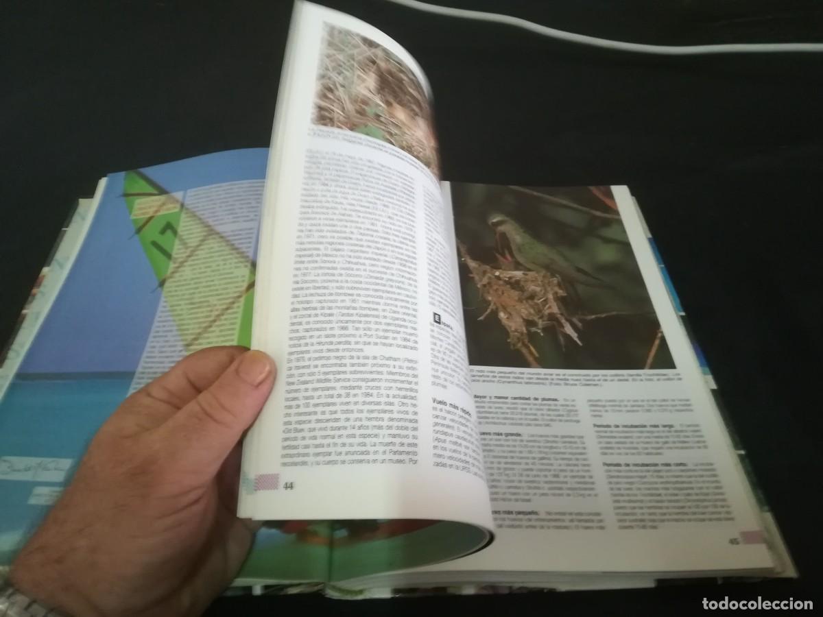 Libros de segunda mano: GUINNESS DE LOS RECORDS 1992 / / CONS 645 GV - Foto 15