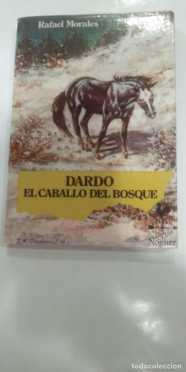 Libros de segunda mano: Dardo El caballo del bosque Rafael Morales - Foto 1