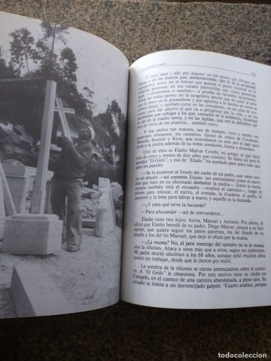 Libros de segunda mano: 31 GALLEGOS Y PICO -- JOSE CURT -- 1981 -- - Foto 2