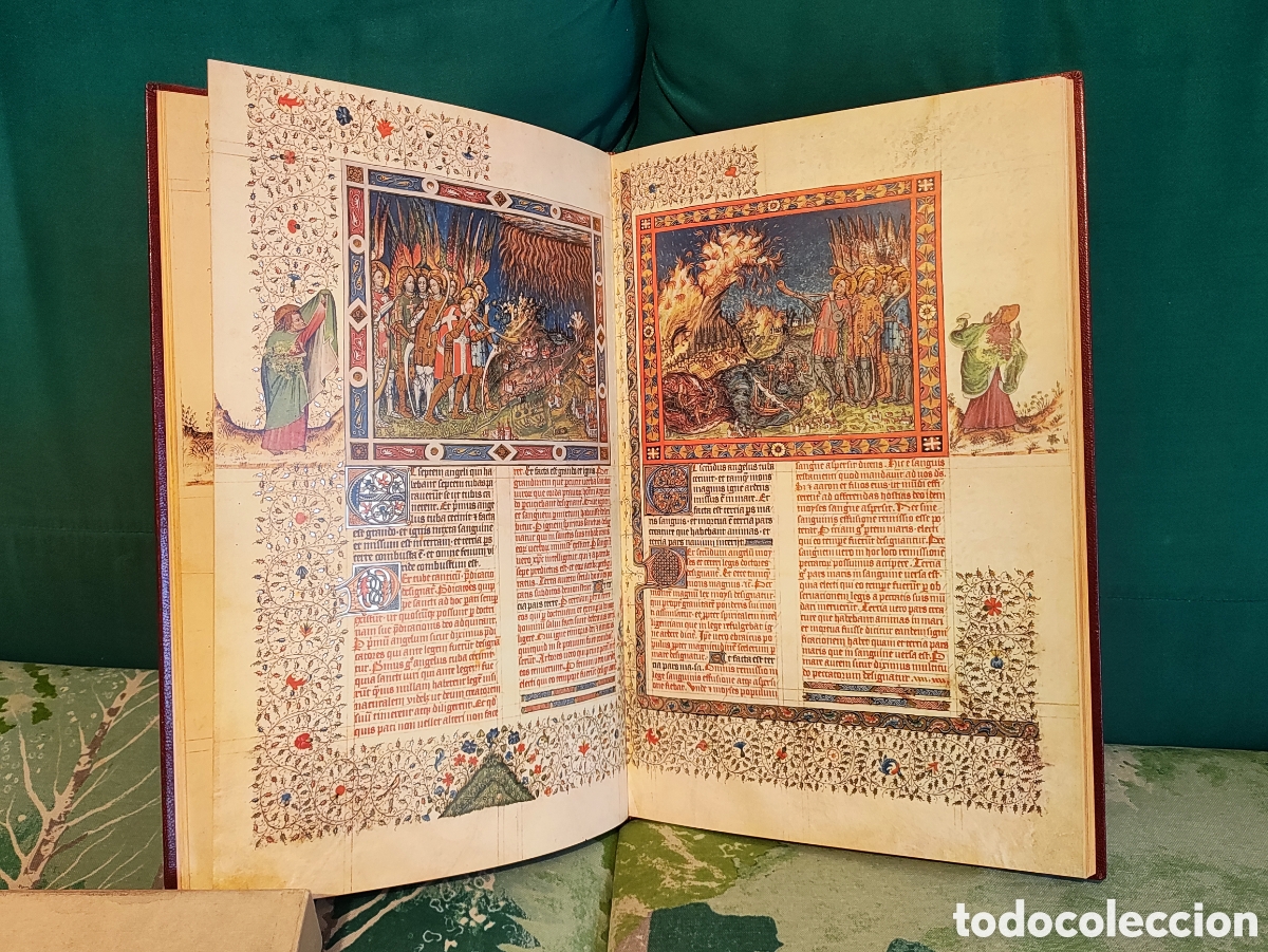 Libros de segunda mano: Facs&iacute;mil, APOCALIPSIS FIGURADO DE LOS DUQUES DE SABOYA (Edici&oacute;n facs&iacute;mil) 1980. - Foto 7