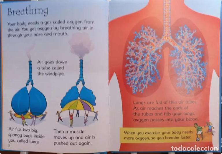 Libros de segunda mano: Your Body. Stephanie Turnbull. - Foto 3