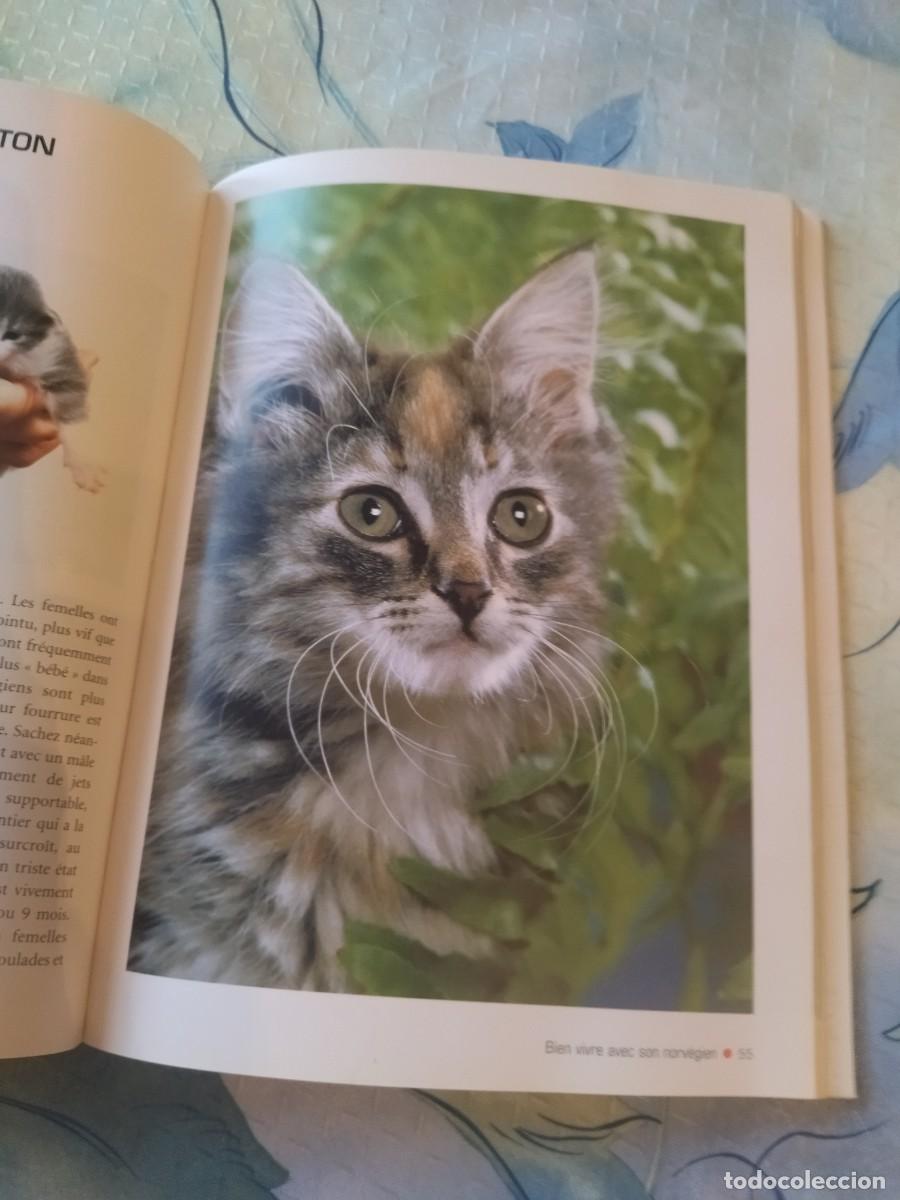Libros de segunda mano: Le norv&eacute;gien Tapa blanda- 2003, EN FRANCES - Foto 9