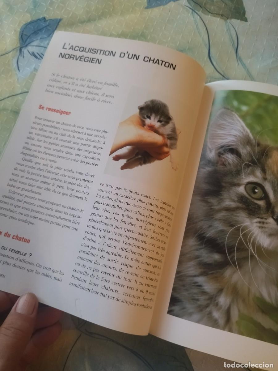 Libros de segunda mano: Le norv&eacute;gien Tapa blanda- 2003, EN FRANCES - Foto 10