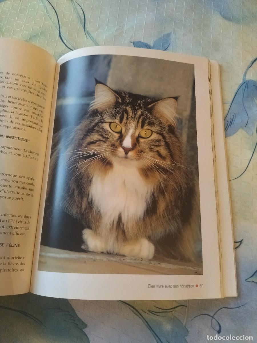 Libros de segunda mano: Le norv&eacute;gien Tapa blanda- 2003, EN FRANCES - Foto 11