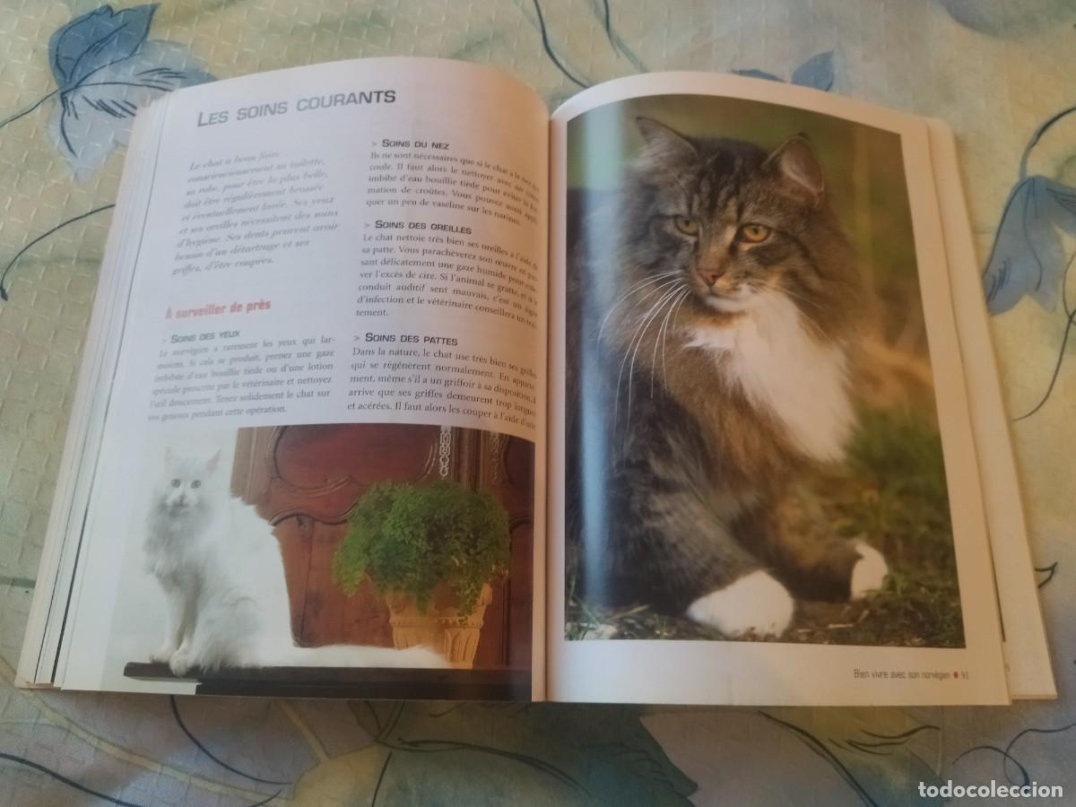 Libros de segunda mano: Le norv&eacute;gien Tapa blanda- 2003, EN FRANCES - Foto 12