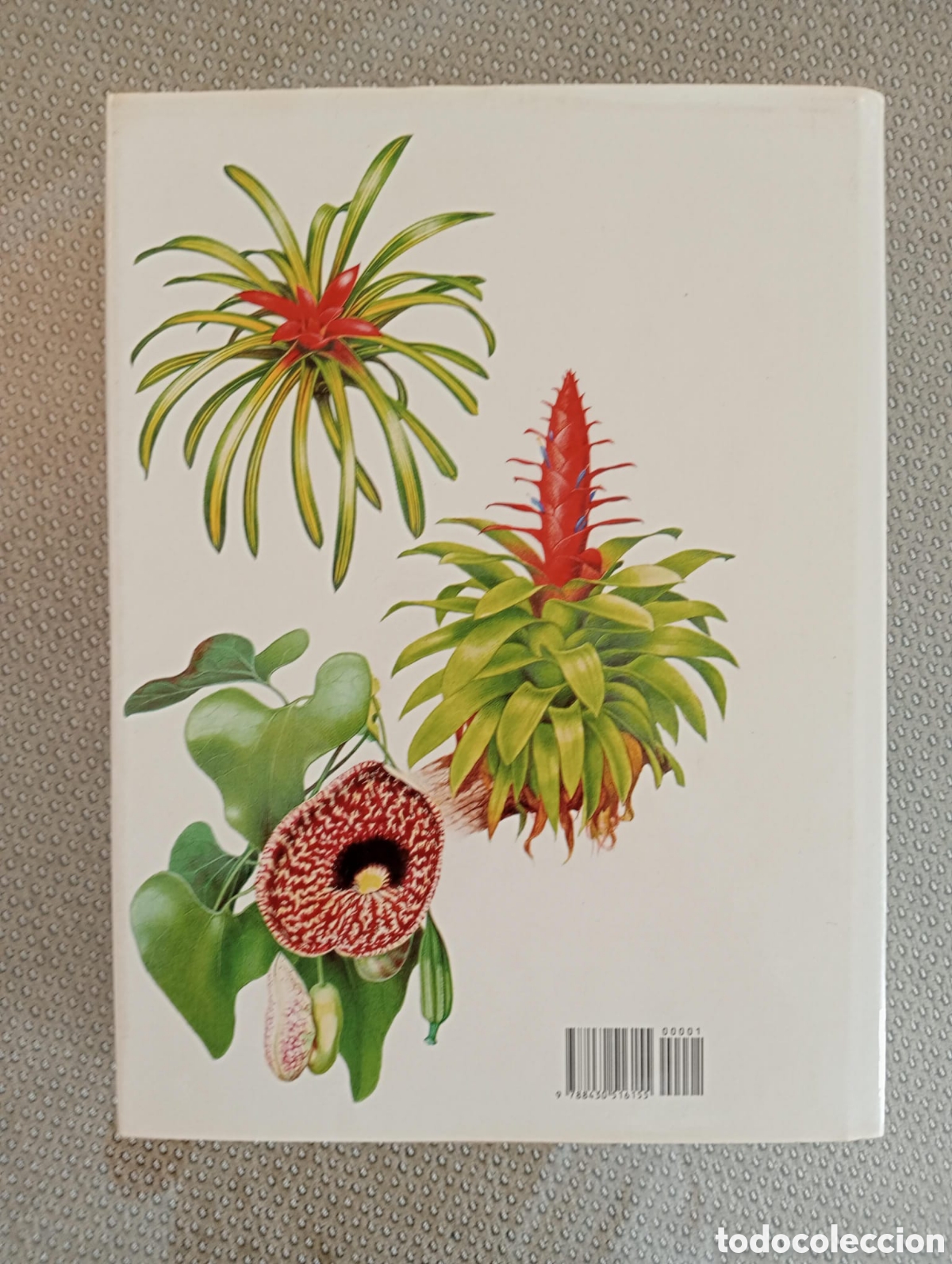 Libros de segunda mano: El gran libro de las plantas de interior/ Jiri Haager - Foto 4