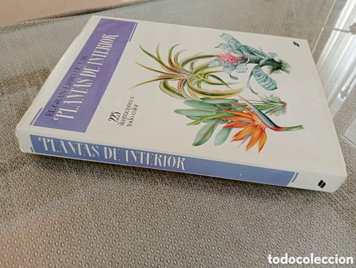 Libros de segunda mano: El gran libro de las plantas de interior/ Jiri Haager - Foto 6