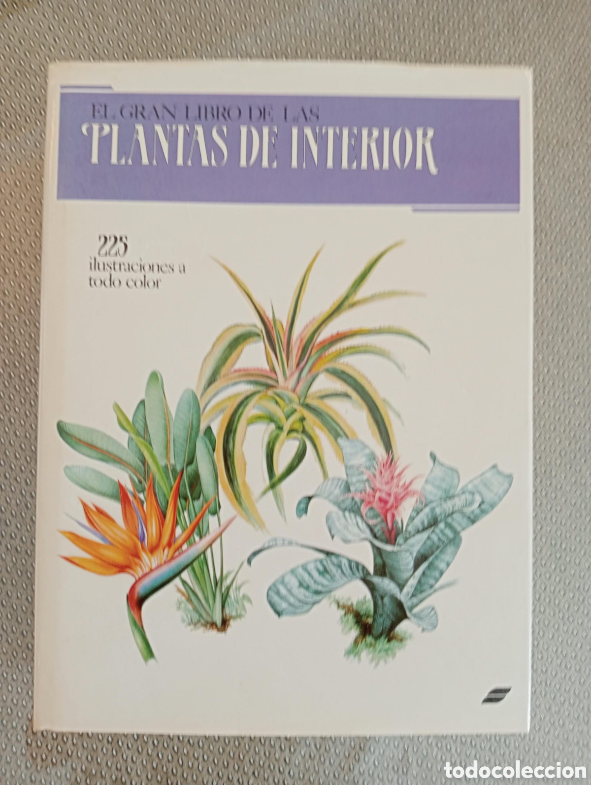 Libros de segunda mano: El gran libro de las plantas de interior/ Jiri Haager - Foto 1