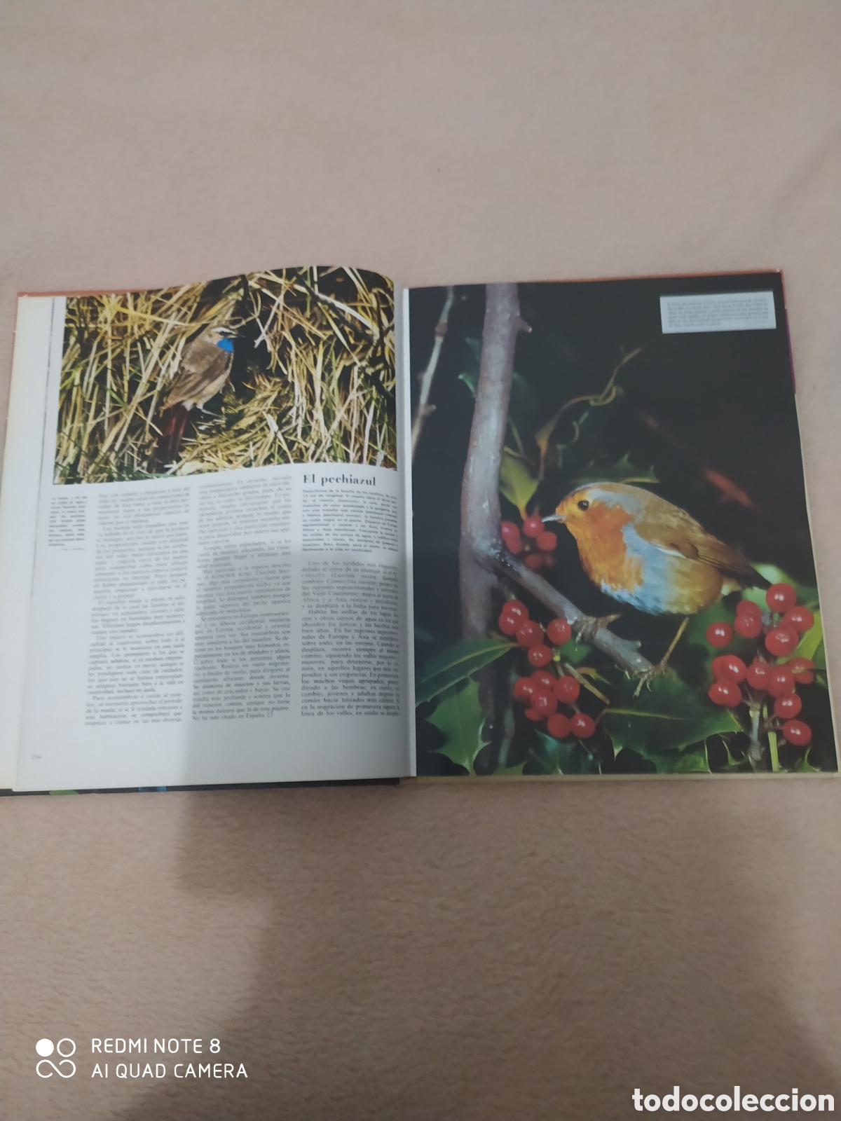 Libros de segunda mano: El mundo de los Animales. Los cantores del bosque - Foto 4