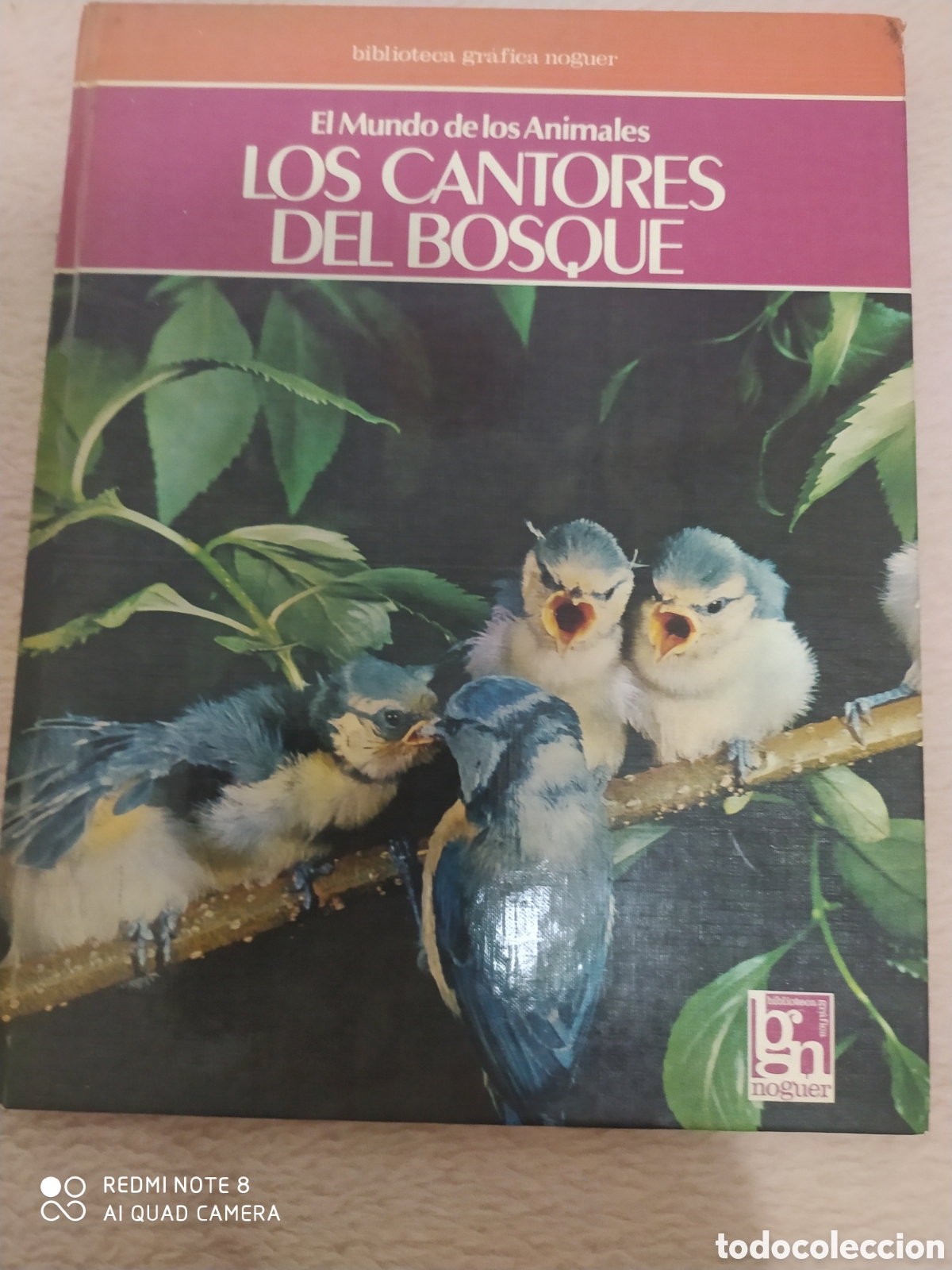 Libros de segunda mano: El mundo de los Animales. Los cantores del bosque - Foto 1