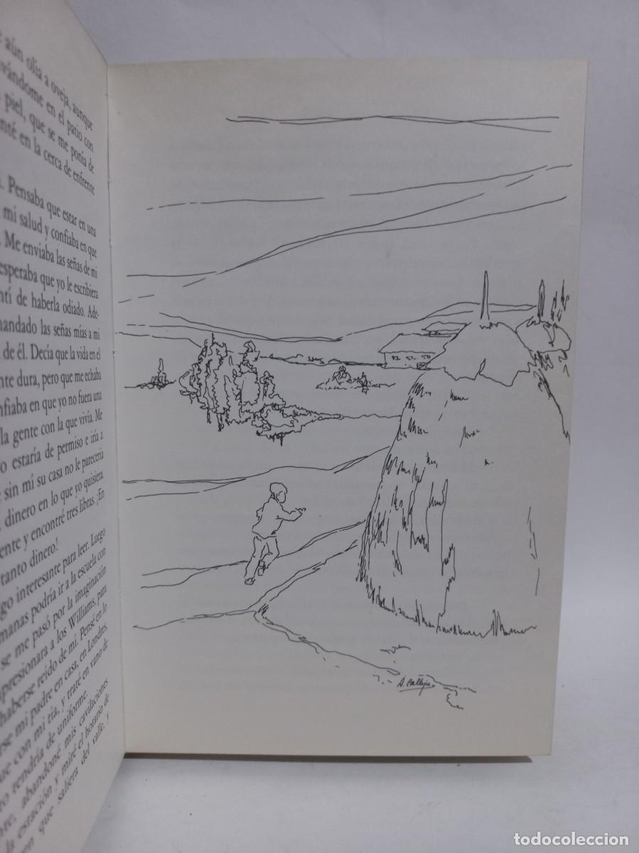 Libros de segunda mano: Jill Paton Walsh - Cosecha de Guerra - 1976 - Foto 3