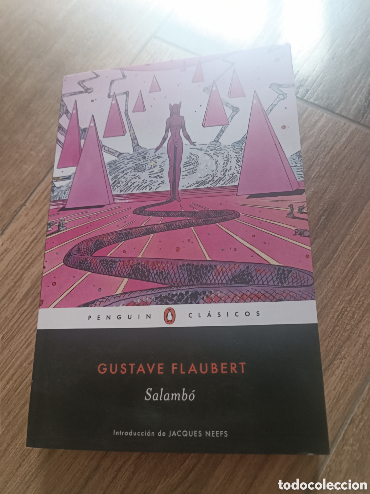 Libros de segunda mano: Salamb&oacute; - Foto 1