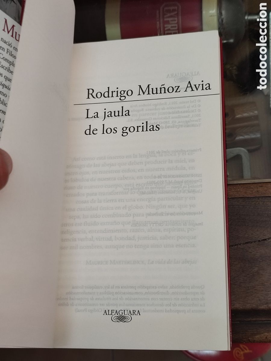 Libros de segunda mano: Rodrigo Mu&ntilde;oz Avia Jaula de los gorilas Alfaguara - Foto 3
