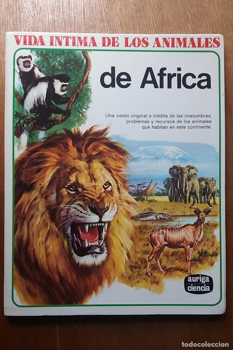 Libri di seconda mano: VIDA INTIMA DE LOS ANIMALES DE AFRICA, auriga ciencia