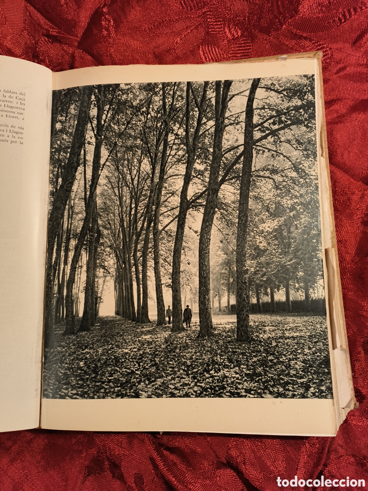 Libros de segunda mano: 1936.Les Terres Catalanes - Foto 6