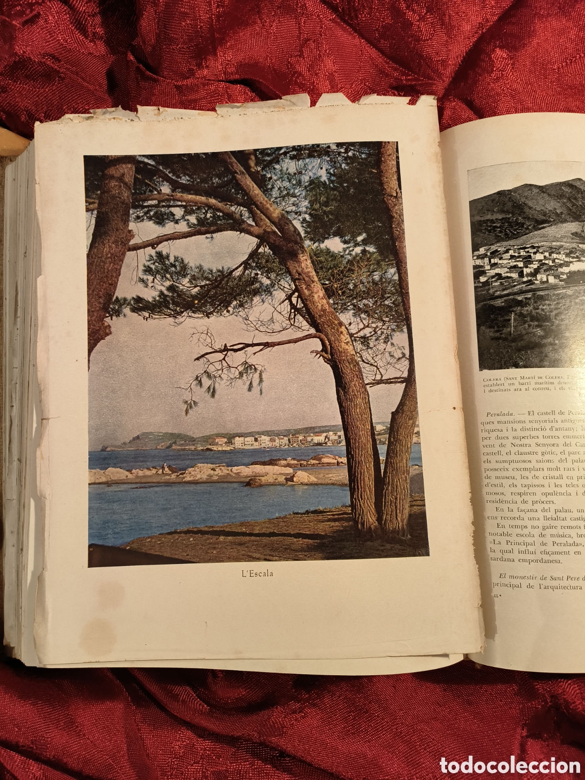 Libros de segunda mano: 1936.Les Terres Catalanes - Foto 8