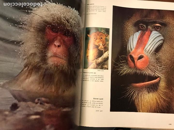Libros de segunda mano: LO MEJOR DE LIFE , EDITADO POR OFFSET MULTICOLOR , A&Ntilde;O 1973 - Foto 5