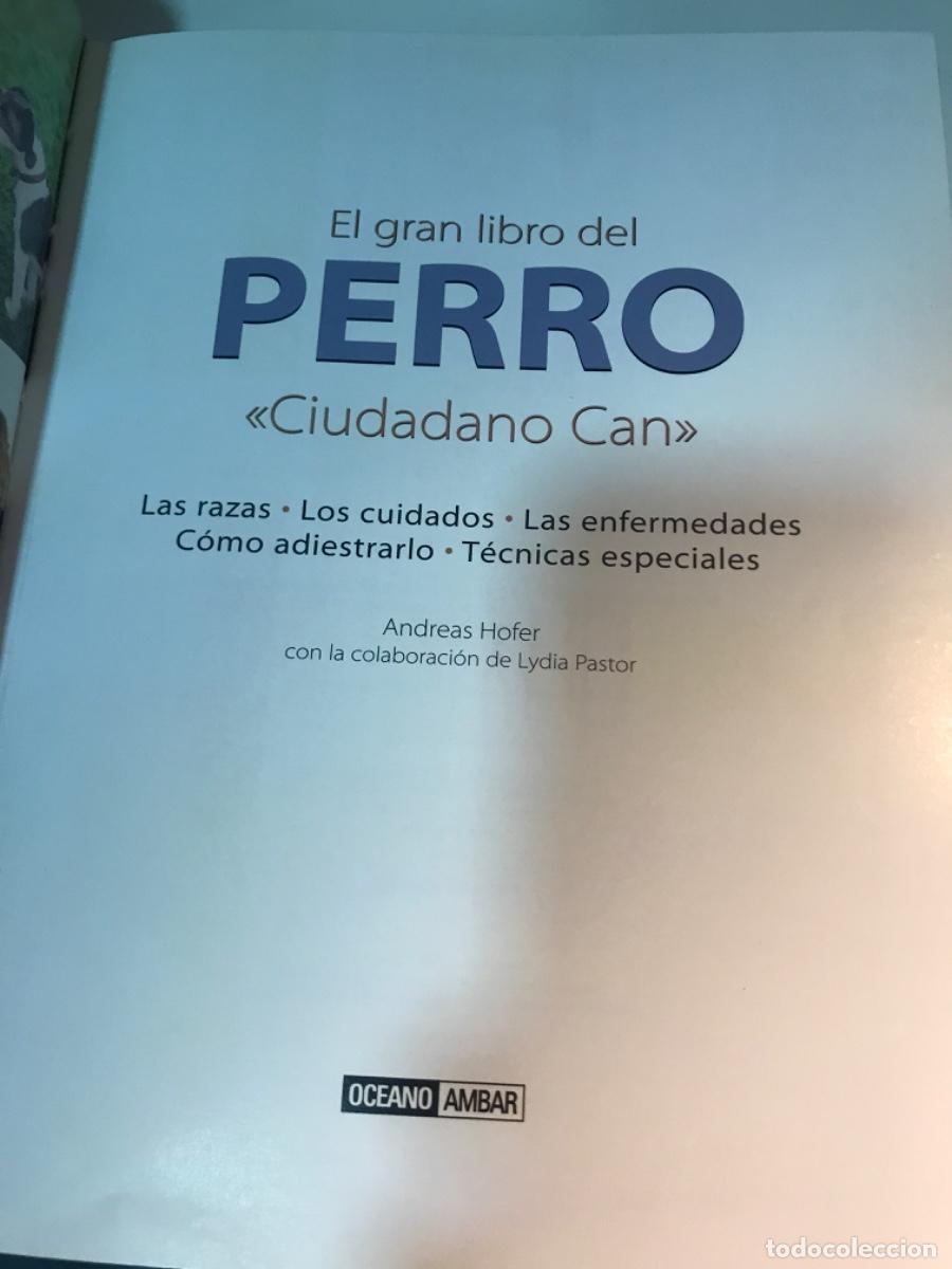 Libros de segunda mano: LIBRO. El gran libro del perro. Razas, cuidados, enfermedades... Andreas Hofer. - Foto 2