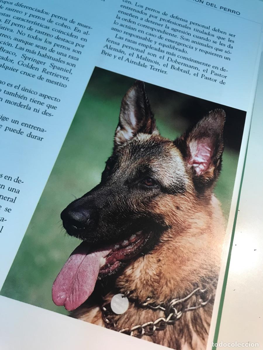 Libros de segunda mano: LIBRO. El gran libro del perro. Razas, cuidados, enfermedades... Andreas Hofer. - Foto 6