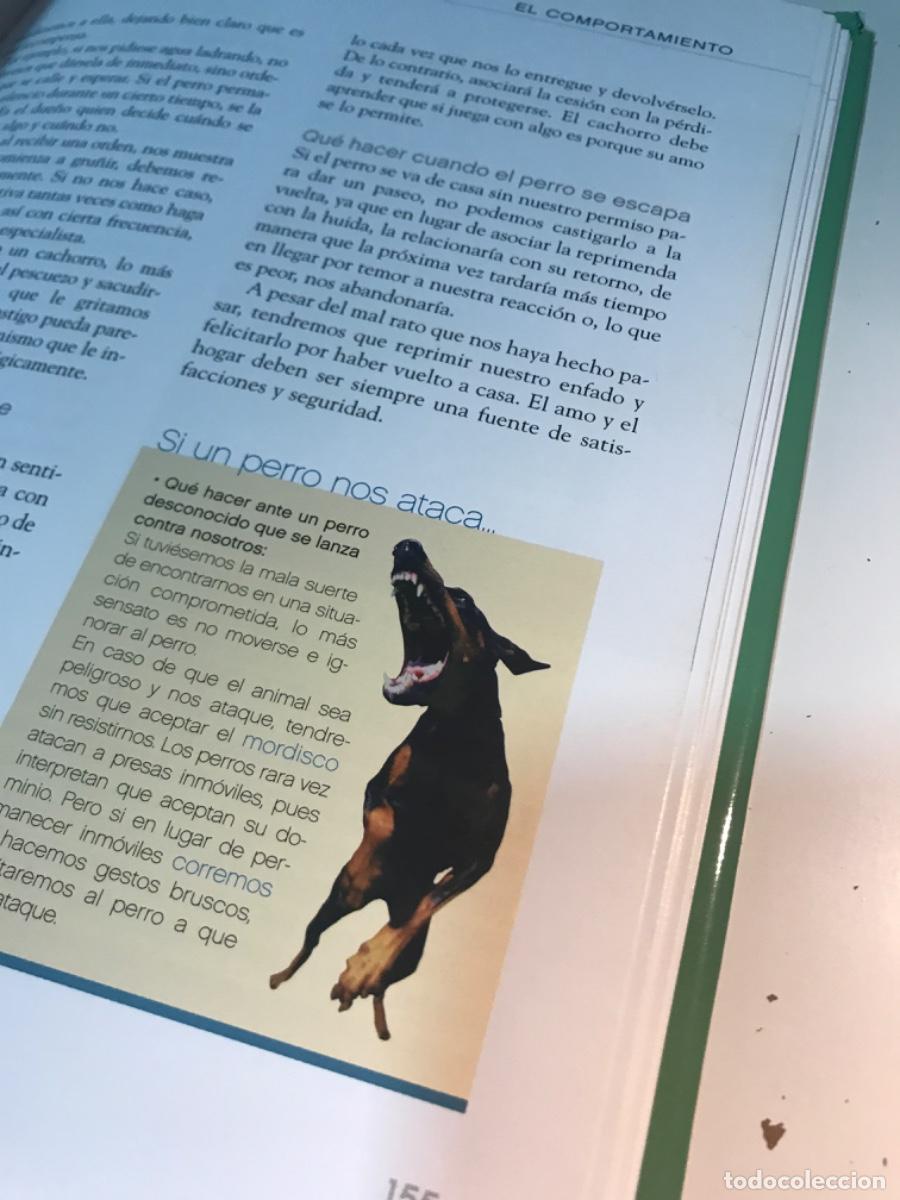 Libros de segunda mano: LIBRO. El gran libro del perro. Razas, cuidados, enfermedades... Andreas Hofer. - Foto 7