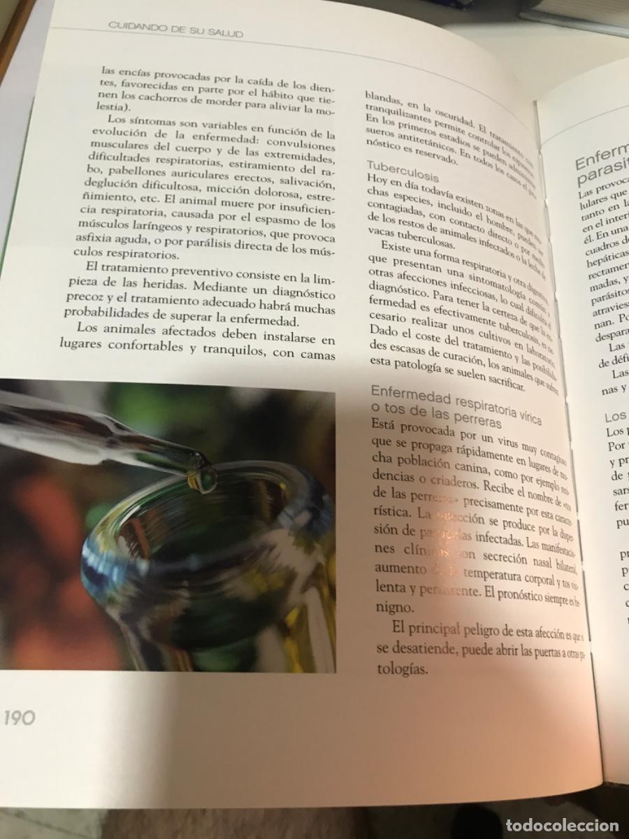Libros de segunda mano: LIBRO. El gran libro del perro. Razas, cuidados, enfermedades... Andreas Hofer. - Foto 8