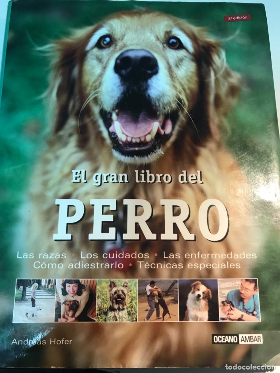 Libros de segunda mano: LIBRO. El gran libro del perro. Razas, cuidados, enfermedades... Andreas Hofer. - Foto 1