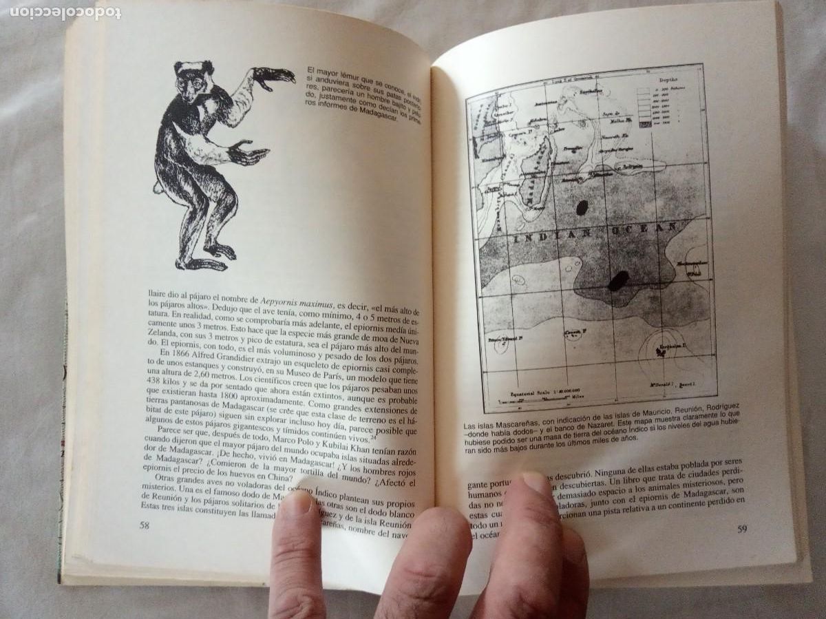 Libros de segunda mano: LAS CIUDADES PERDIDAS DE LEMURIA .-David Hatcher Childress. - Foto 3