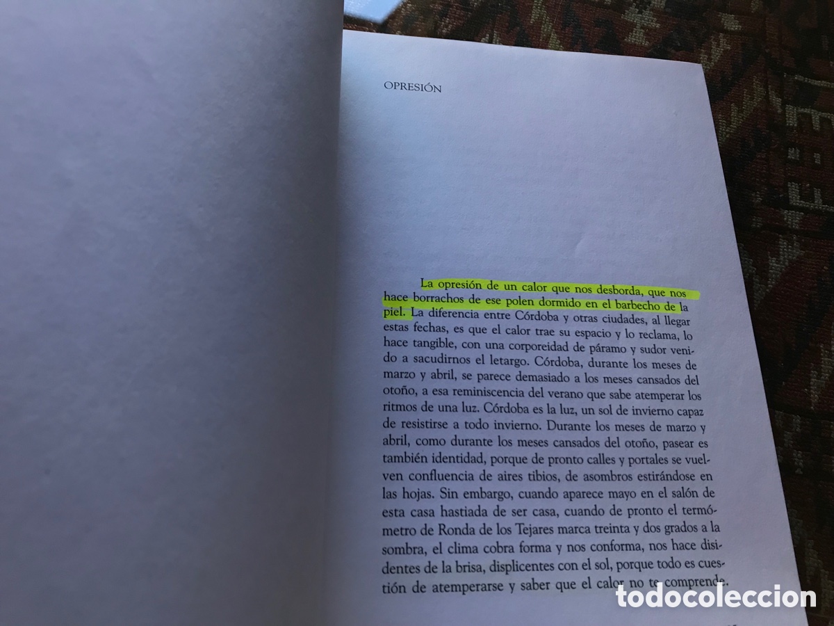 Libros de segunda mano: Reloj de sol. Joaqu&iacute;n P&eacute;rez Aza&uacute;stre, 2002-2004. - Foto 3