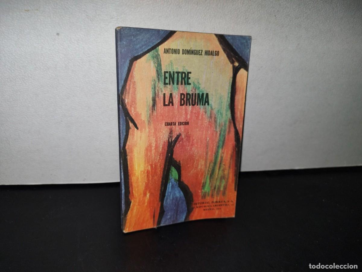 Libros de segunda mano: 193- ENTRE LA BRUMA - ANTONIO DOM&Iacute;NGUEZ HIDALGO - Foto 1