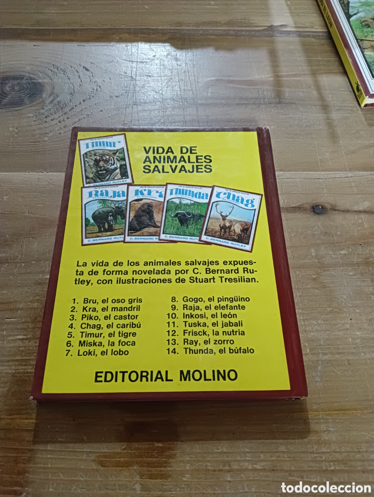 Libros de segunda mano: Raja El Elefante 9 . Editorial Molino - Foto 2