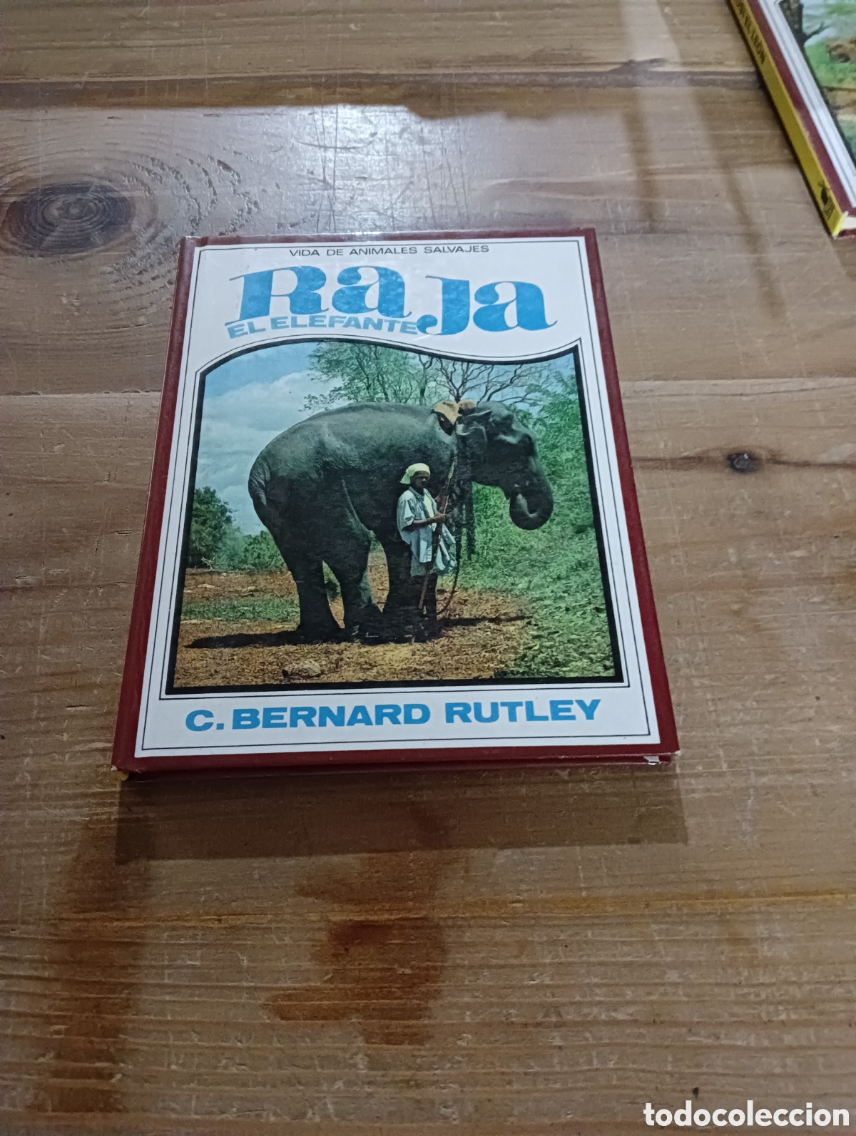 Libros de segunda mano: Raja El Elefante 9 . Editorial Molino - Foto 1