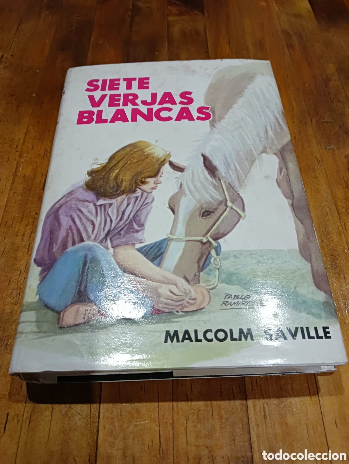 Libros de segunda mano: Siete Verjas Blancas. Molino 1961 - Foto 1