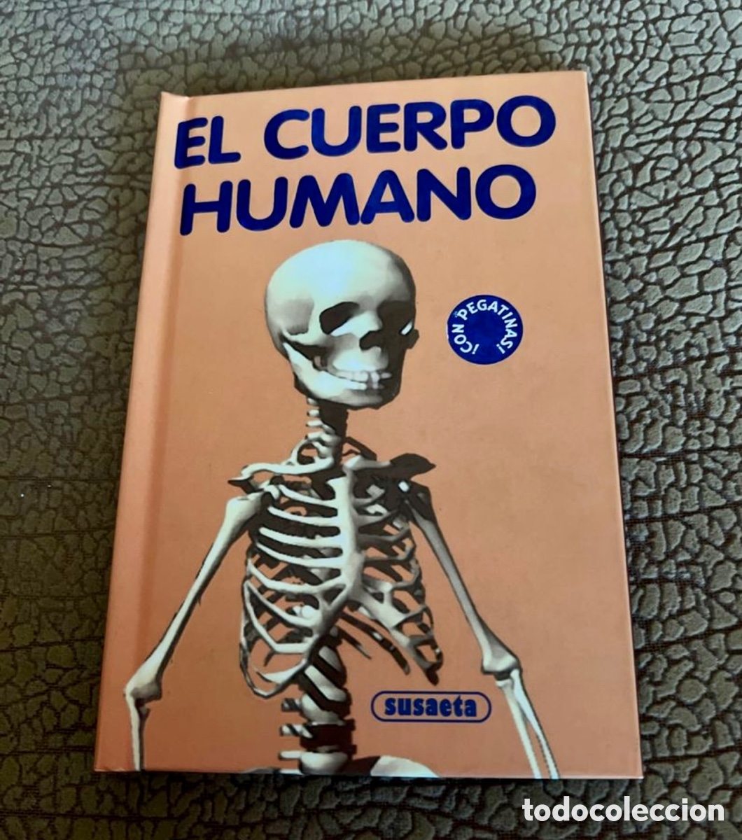 Libri di seconda mano: Mini libro El cuerpo Humano infantil